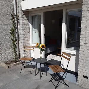 Sunny Appartement Zandvoort